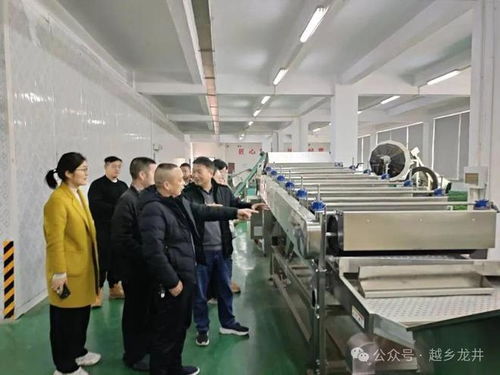 俞燎遠(yuǎn)研究員深入嵊州調(diào)研，為茶產(chǎn)業(yè)技術(shù)推廣與升級(jí)把脈開方